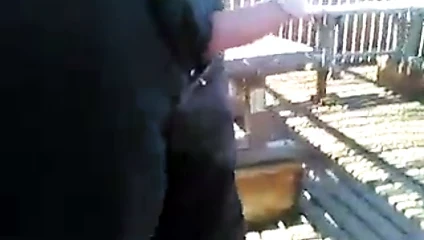 yanıp sönen 11