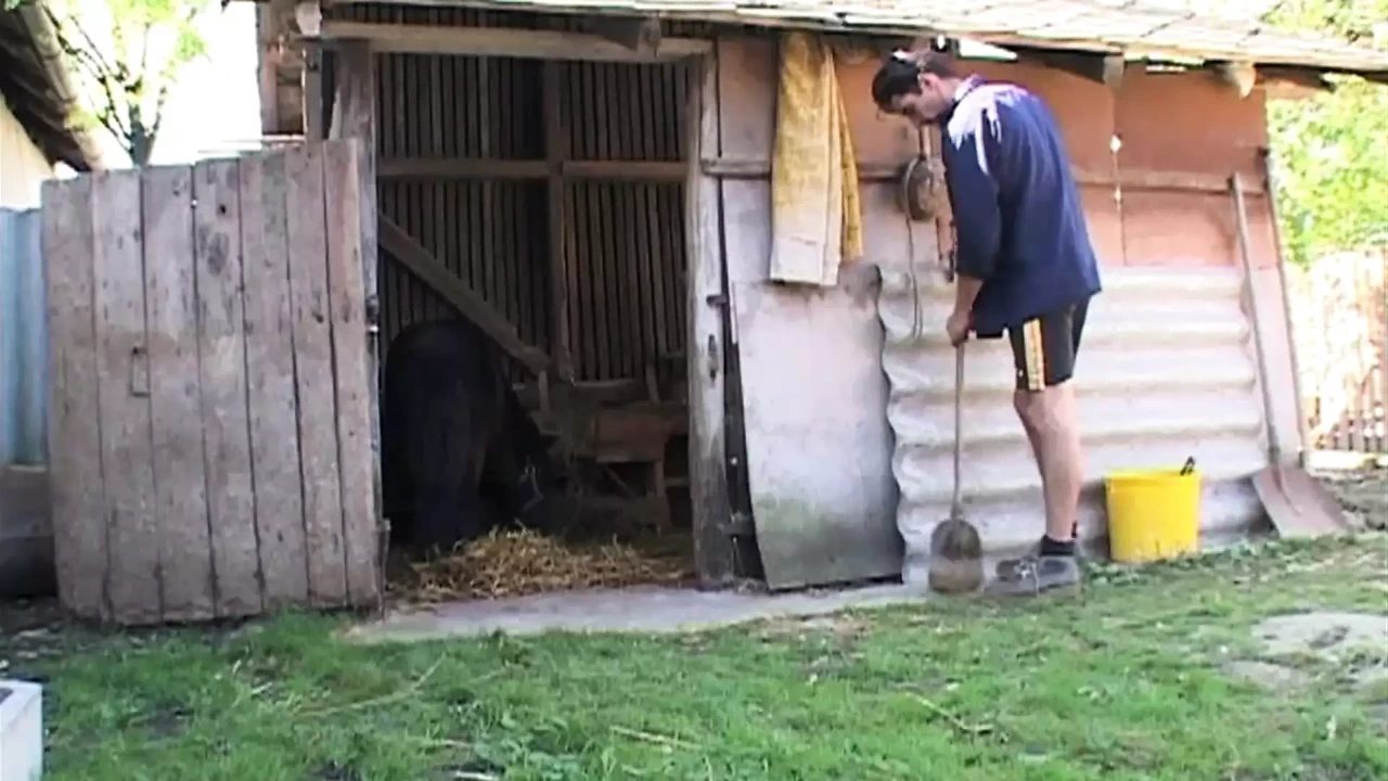 老笨蛋求精 - 完整电影