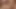 Some Hairy Boy Gives A Horny Blowjob And Fucks A Hungry Gay Guy Hard