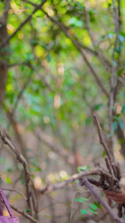 पहाड़ियों में विदेशी लड़की के साथ हार्डकोर सेक्स किया । क्लिप 1