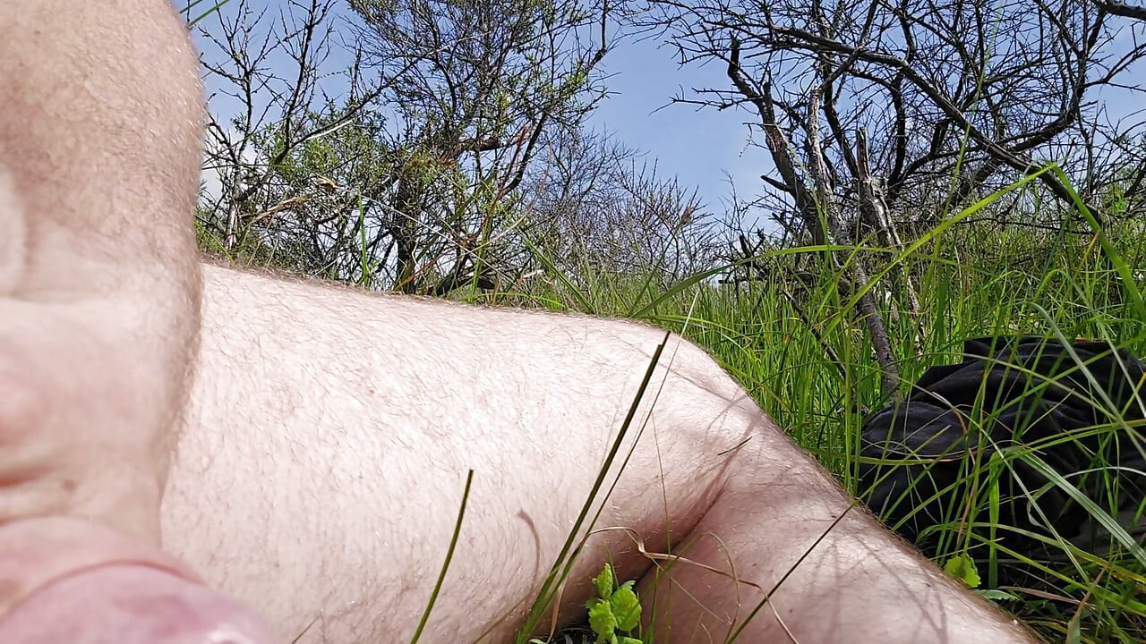 Wanking my big cock in the dunes