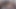 ムスリムのメイドが上司がオナニーしているところを目撃