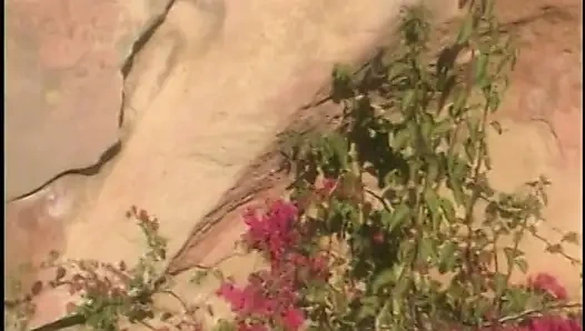 Aksi hot lesbian hot lesbian dengan memek mulus yang saling jilat memek satu sama lain di luar ruangan