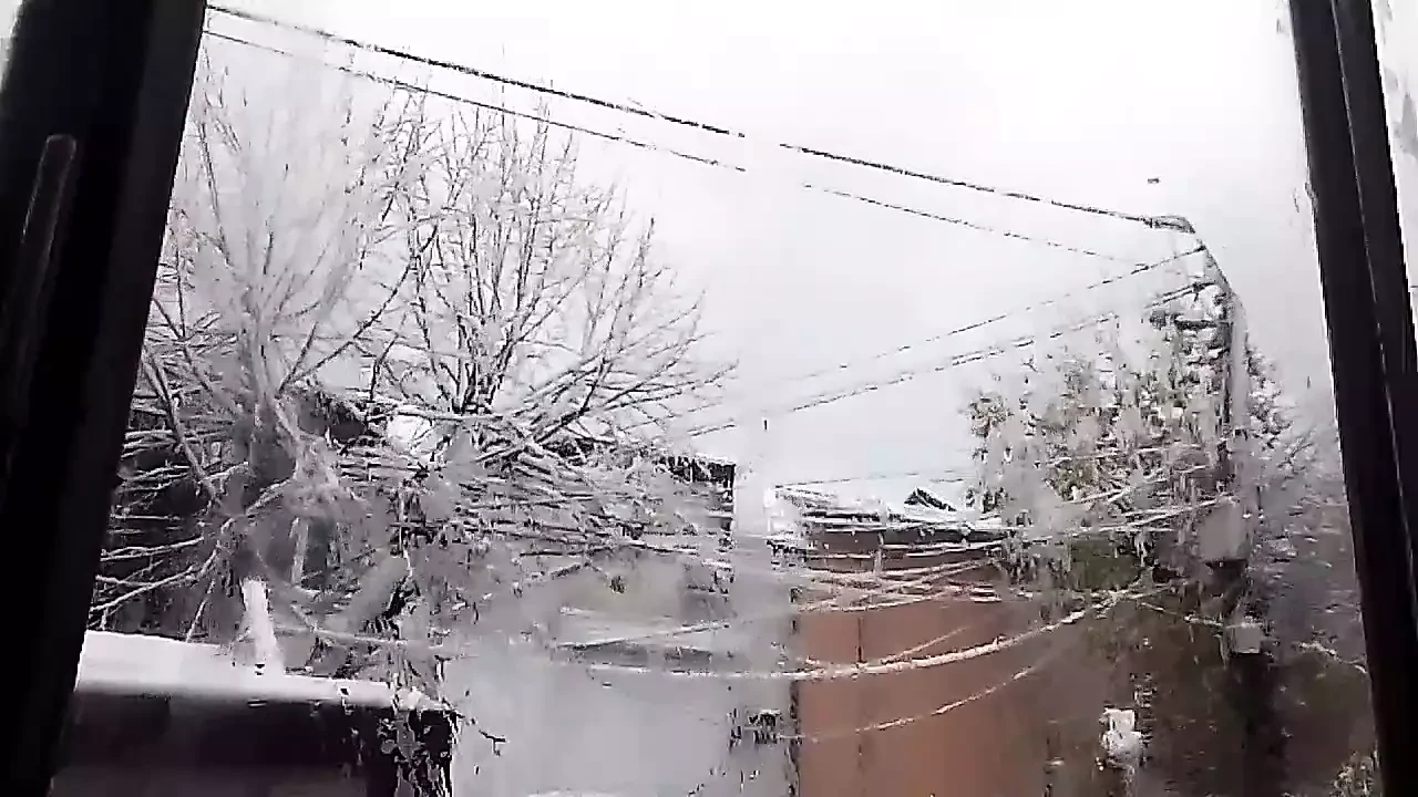 看看我的奶子在雪地上