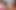 Horny Lesbians Have a Party That Ends in a Great Orgy