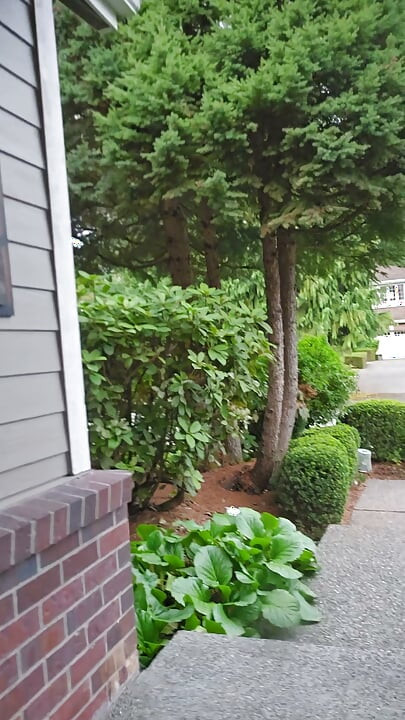 Out the Front Door
