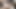 HUNT4K. Cuckold is watching and jerking off while his teen