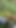 Captivating moment from "Desi bahu lifted her clothes in the outdoor jungle and put her finger in her pussy and showed her brother-in-law is yearning for sex by showing her brother-in-law my fat ass."