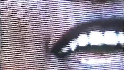 Black pussy licking fucking on the pool table