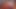 A Boy with a Beautiful Body Rides a Big Transparent Dildo