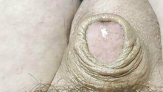 Micro pénis pré-éjaculation