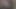 Desi Indian boy and girl Sex videos