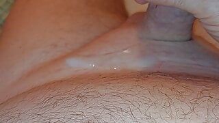 My cock from soft to hard with cumshot