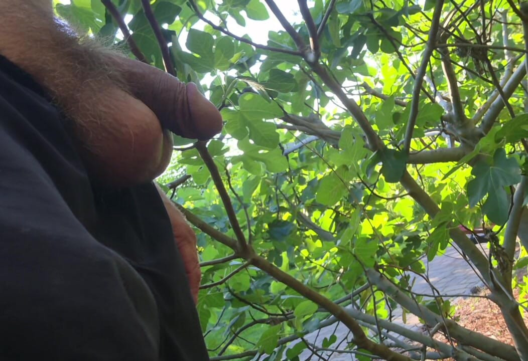 Outdoor piss
