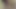 Küçük beyaz gagasını sert tutamadı,