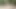 Oma Sucht Liebhaber Nackt Im Wald!