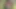 Die asiatische MILf yura kasumi nimmt es mit zwei typen auf, die ihre dreier-action knistern werden
