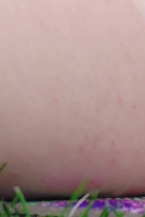 Sonnenklebe in einem garten