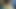 毛むくじゃらで汗ばんだ脇の下!