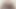 hony121 vulva
