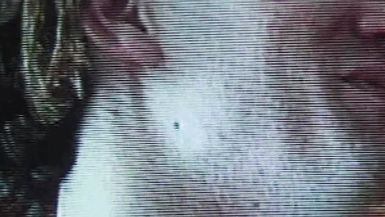 Heißer Blowjob und Intensive Penetration