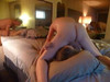 Pregled videozapisa