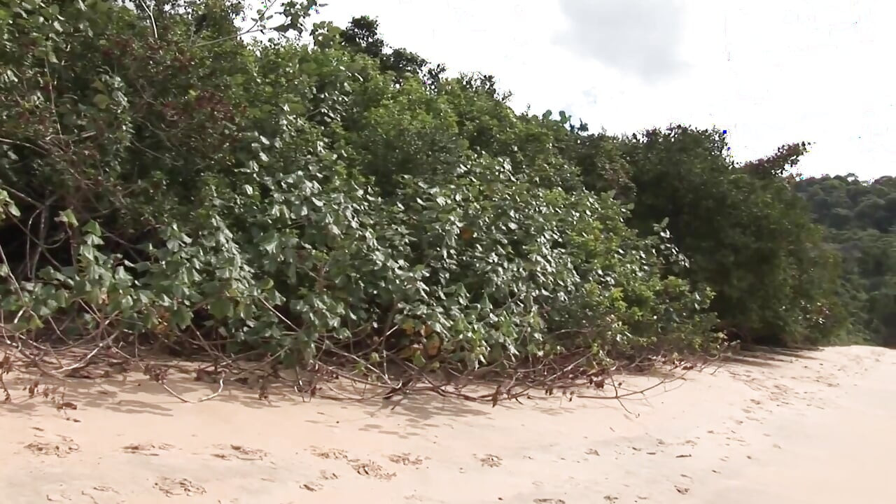 Exclusive video Bareback: Wild beach fuck together with hot gay boys