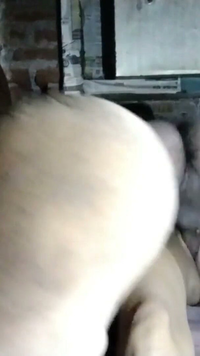 Valentine's Day Special 🌺💞 Hindi Wife Videos | Clip 1