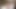 モーセが感謝を言う