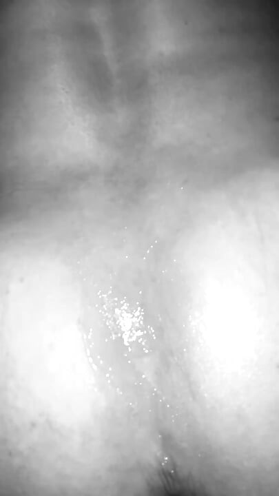 IIWII - ฉันได้กลิ่นหี