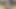Cum all over your cock, pure orgasm