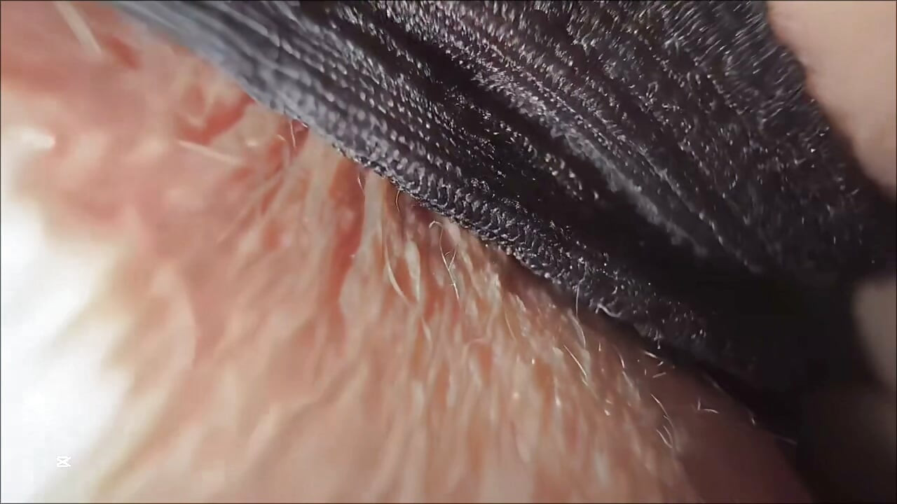 如果世界上最美的女孩把她的骚逼和屁眼近距离展示给你看，画面会一直留在你脑海里
