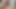 Cumshot nude in front of my cam