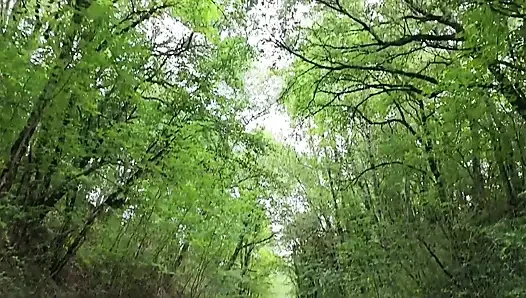 Berjalan nakal di hutan
