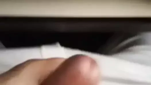 netalisa