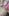 18 jahre altes indisches teenie-mädchen priya nackt und zeigt ihre nasse rosa muschi aus nahaufnahme