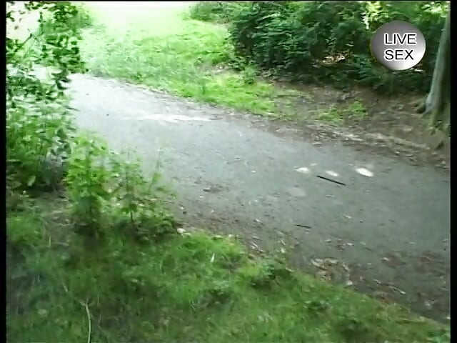 Beautiful german chick gets pleasured outdoors