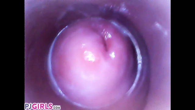 PjGirls Silvia Deluxe вставляет камеру в ее вагину (киска)