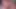 Nickey Huntsman Milks Dick for Jizz Release