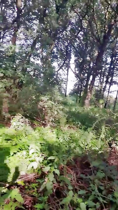 Slutboyben Cam4 Sexy Exhibitionist Pig Mega Hot Fun