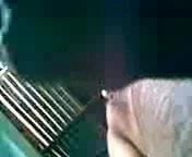 cock