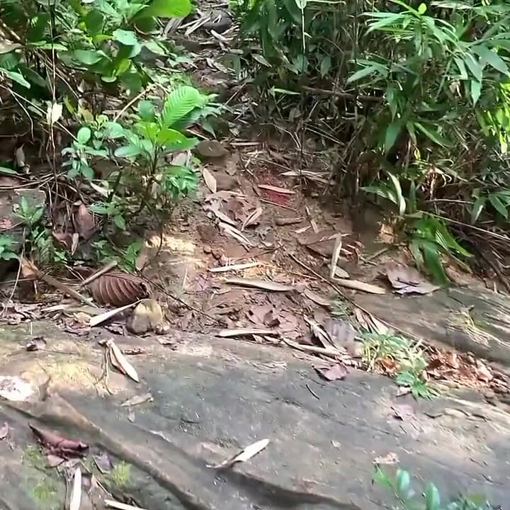 A Young Man Arrives While a Slim Sri Lankan Woman with Naturally Large Breasts Is Bathing and Fuck Her Right There in the Water