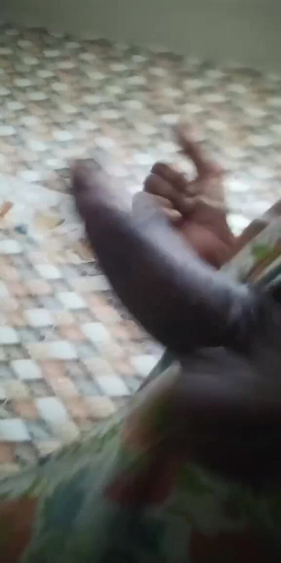 Bug Desi