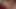 A Giant Hard Dick for a Plumpered Brunette MILF