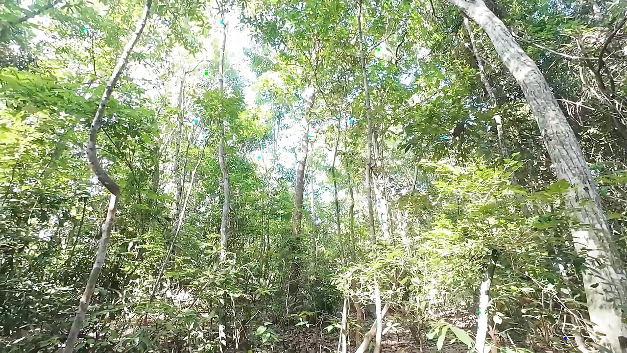 Gadis Thailand berjalan dan membual tentang rasa sakit buang air kecil di hutan, tetapi mendorong untuk masturbasi Suara Thailand