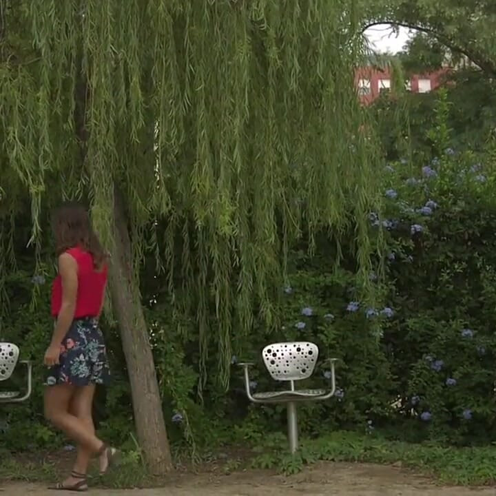 Among the bushes juan lucho and julia roca