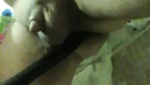 anal yılan