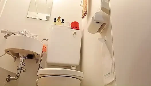 Toilet Video at a Hotel