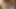 Glücklicher schwarzer hengst bekommt seinen schwanz von blonder schönheit geschluckt