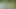 Pornempire yetişkin rpg yönetimi simülasyon oyunu